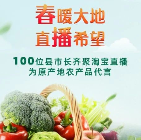 ECPAKLOG启迪俱乐部 | 报告解析：县长们直播带货，效果怎么样？