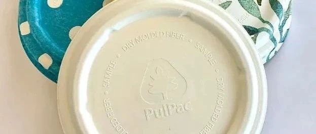 Stora Enso引入PulPac工艺，成首个大规模干模纤维制品生产商