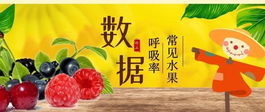 丹普客——常见水果的呼吸率