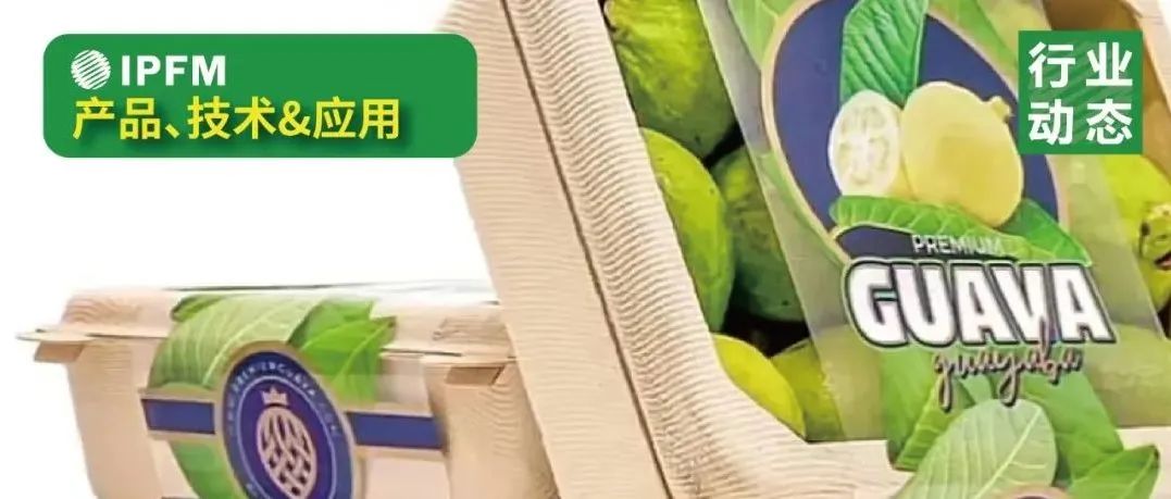 万亿鲜果市场，纸浆模塑包装大有可为！
