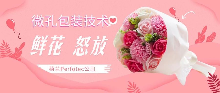 丹普客——【视频】荷兰Perfotec鲜花无水保鲜生命线