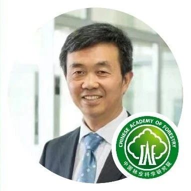 中国林科院研究员傅金和先生确认演讲|植物纤维模塑产业创新中国论坛(3.8-10·南京)
