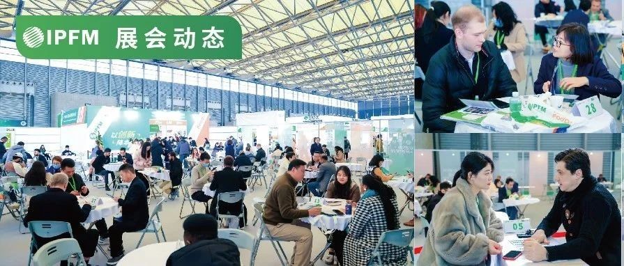 IPFM2024 | 专业纸浆模塑一站式无忧直采平台，全球观众买家共同的选择