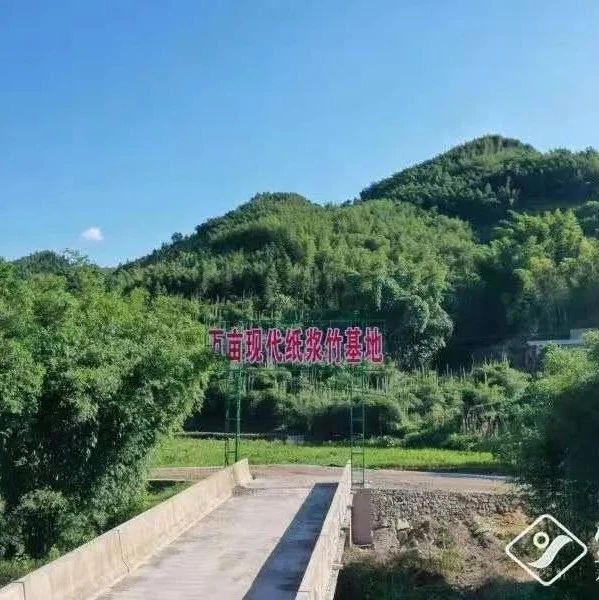 山鹰吉特利竹浆模塑项目进展顺利，投资额增至8.5亿