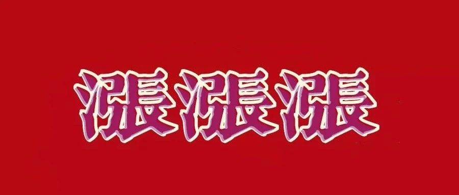 致命涨价，从纸浆期货看纸浆模塑制品要涨多少才能持续经营？