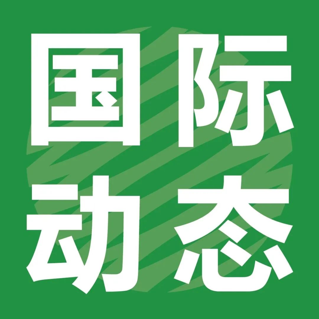 日本造纸巨头变身“卖碳翁”，培育特优树种赚碳钱