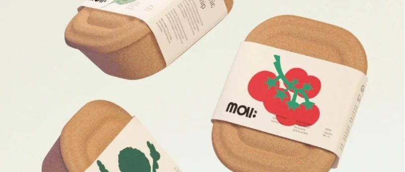 越南手工品牌mai:研发纸浆模塑果蔬包装，让果蔬自由呼吸