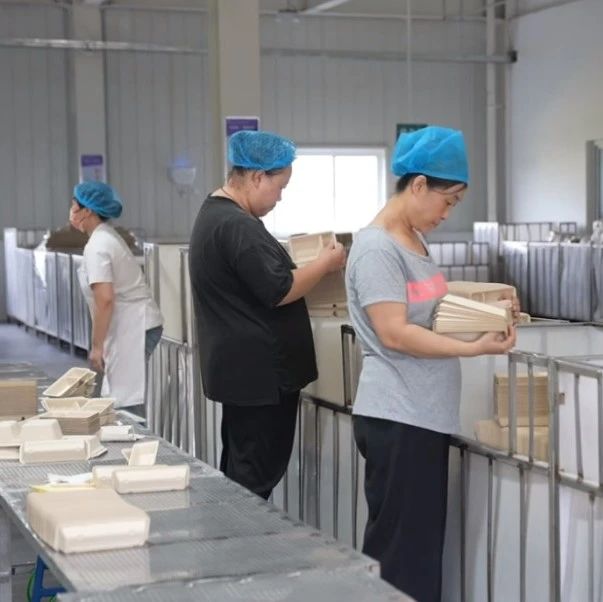 8000吨纸浆模塑餐具生产线一期投产