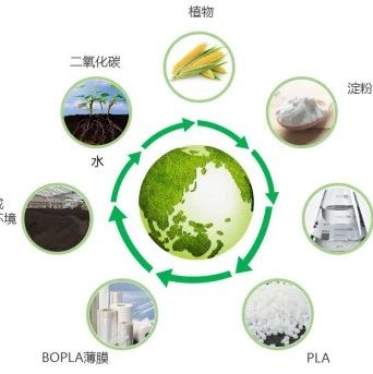 国内首家！厦门长塑率先量产生物基膜材BOPLA！