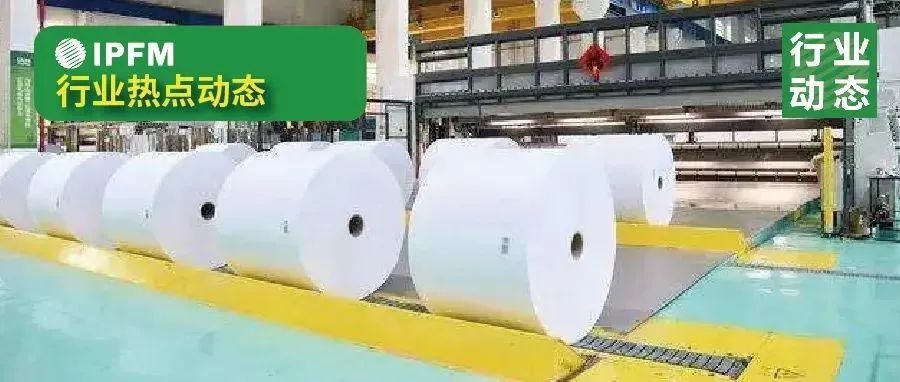 广西新增浆纸产能2510万吨，含蔗渣浆板产量16万吨