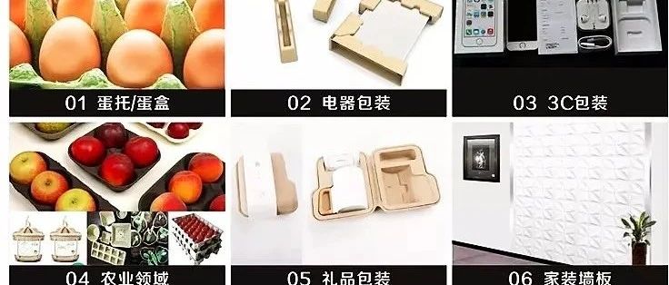 植物纤维模塑使用案例、应用场景全集